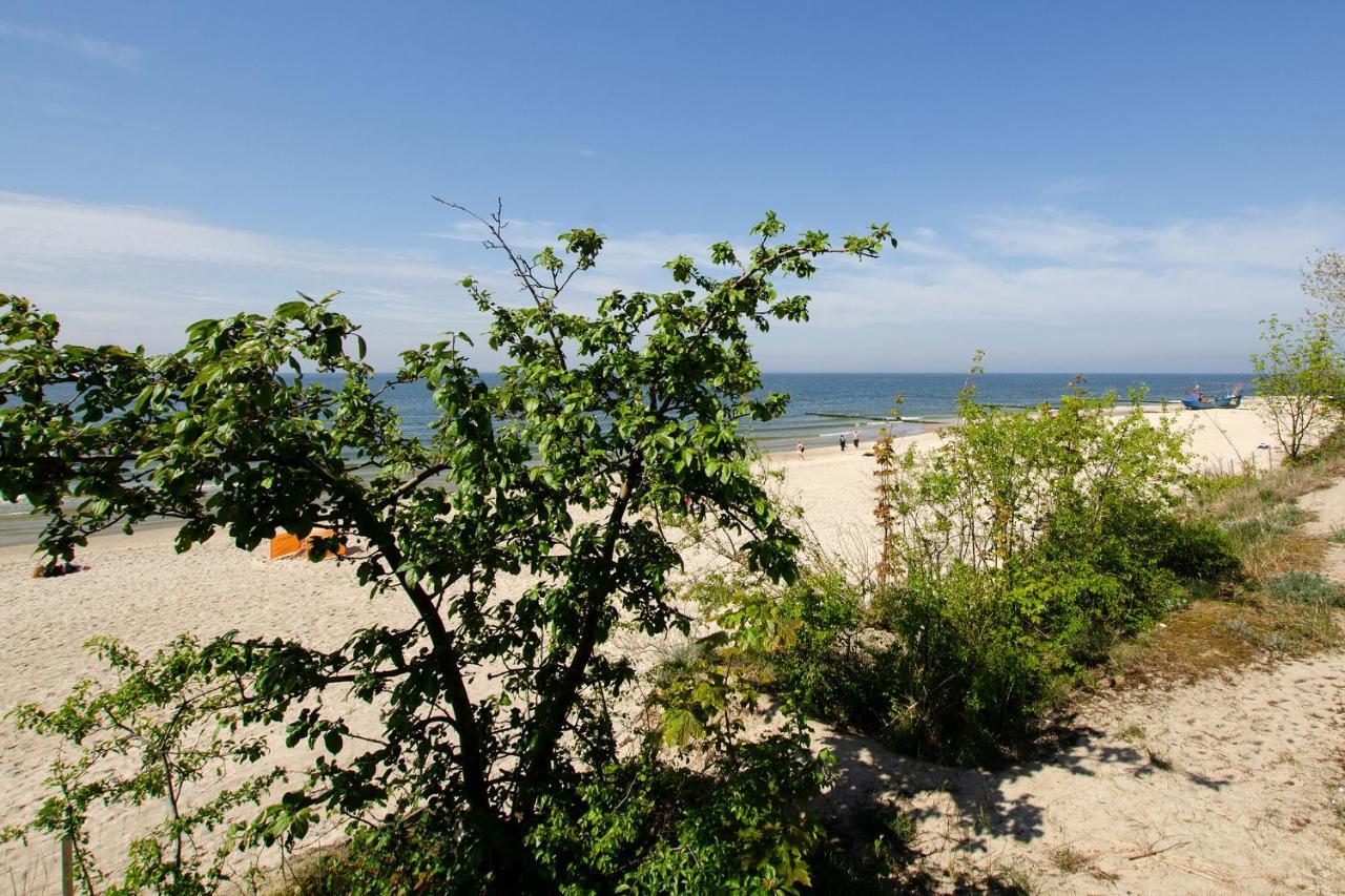 Familien Studio Strandperle 米兹多洛杰 外观 照片